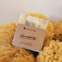Mousse lavante purifiante du shampoing solide pour cheveux normaux à gras, régule le sébum et apporte du volume naturellement